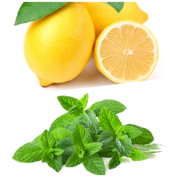 Daly Code - Lemonmint