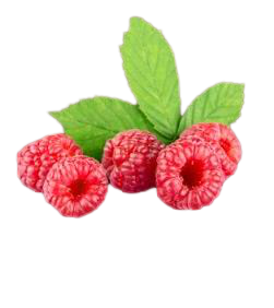 7Days פטל יער - Wild Berries